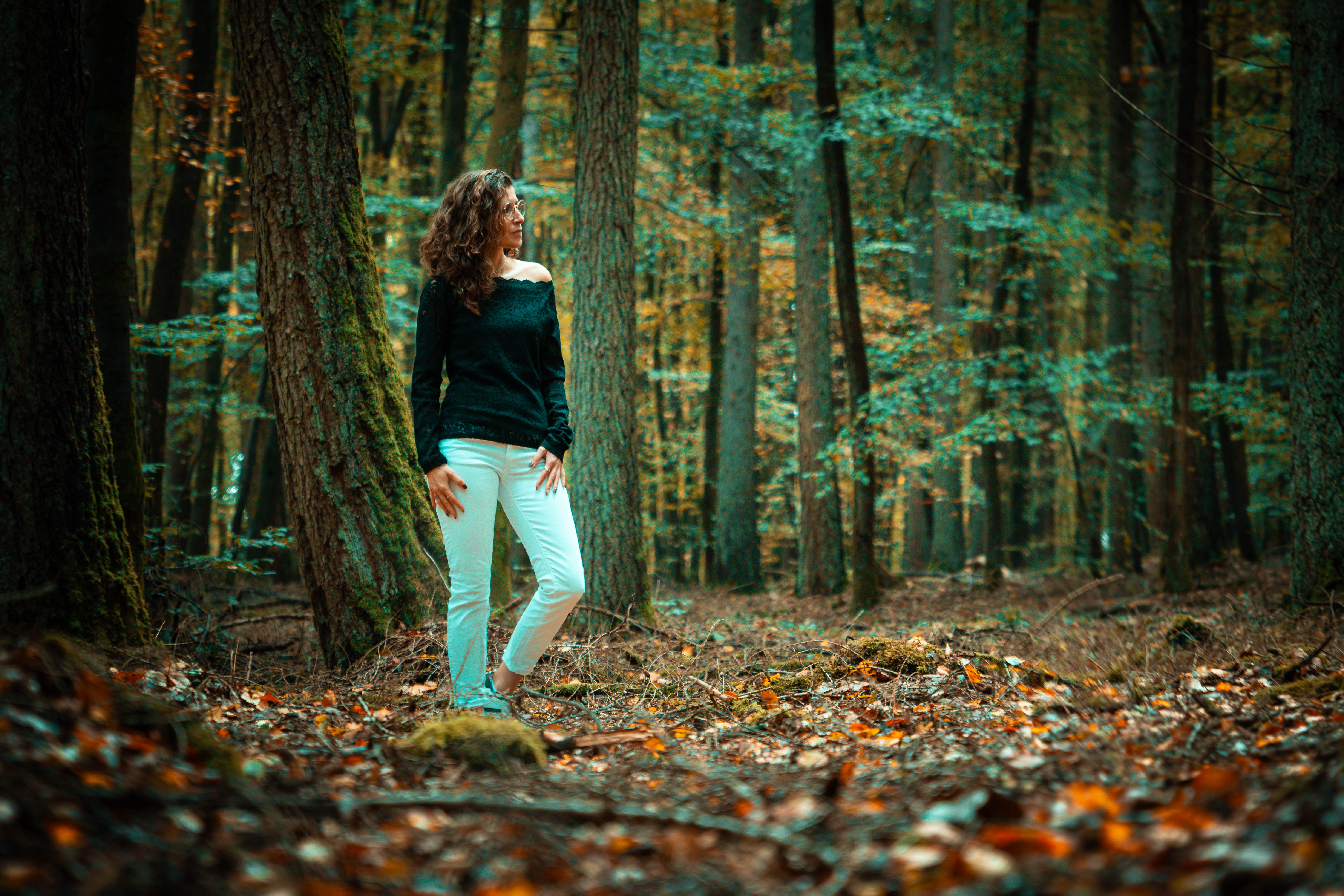 Nature et énergie Reiki – forêt apaisante